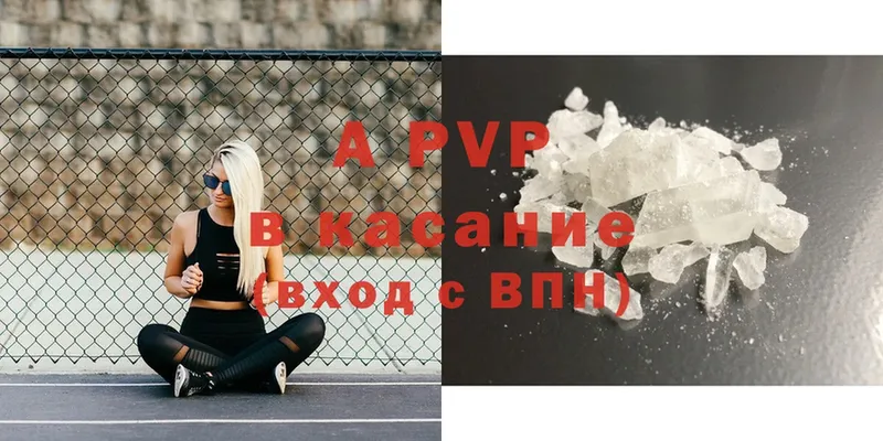 блэк спрут как войти  закладки  Великие Луки  A PVP крисы CK 